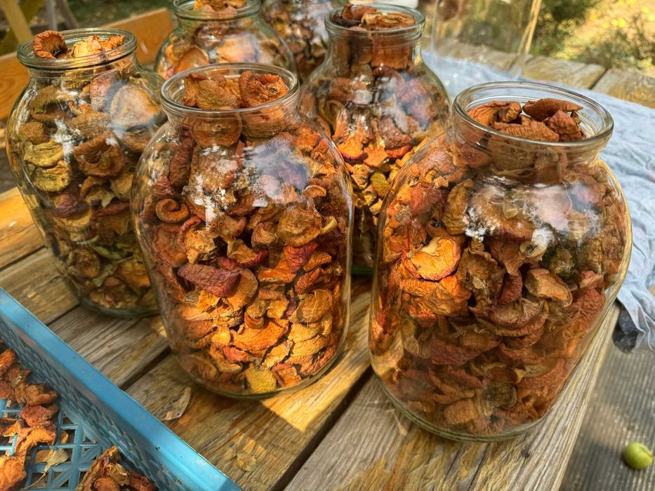 Яблоки сушеные, сушка яблоко груша, сухофрукты, компотная смесь, узвар