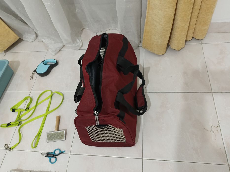 Kit de Acessórios para Coelho – Tudo em Ótimo Estado