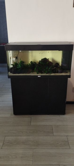 Aquário Juwel Rio 180 LED + Móvel SBX + Filtro Externo Aqua Nova + Decoração