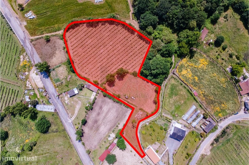 Terreno a 3 km do Centro de Fafe com Vinha e Nascente em Golães- Fafe!