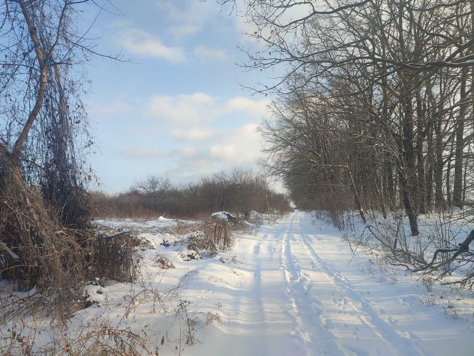 Продається ділянка в Агрономічному