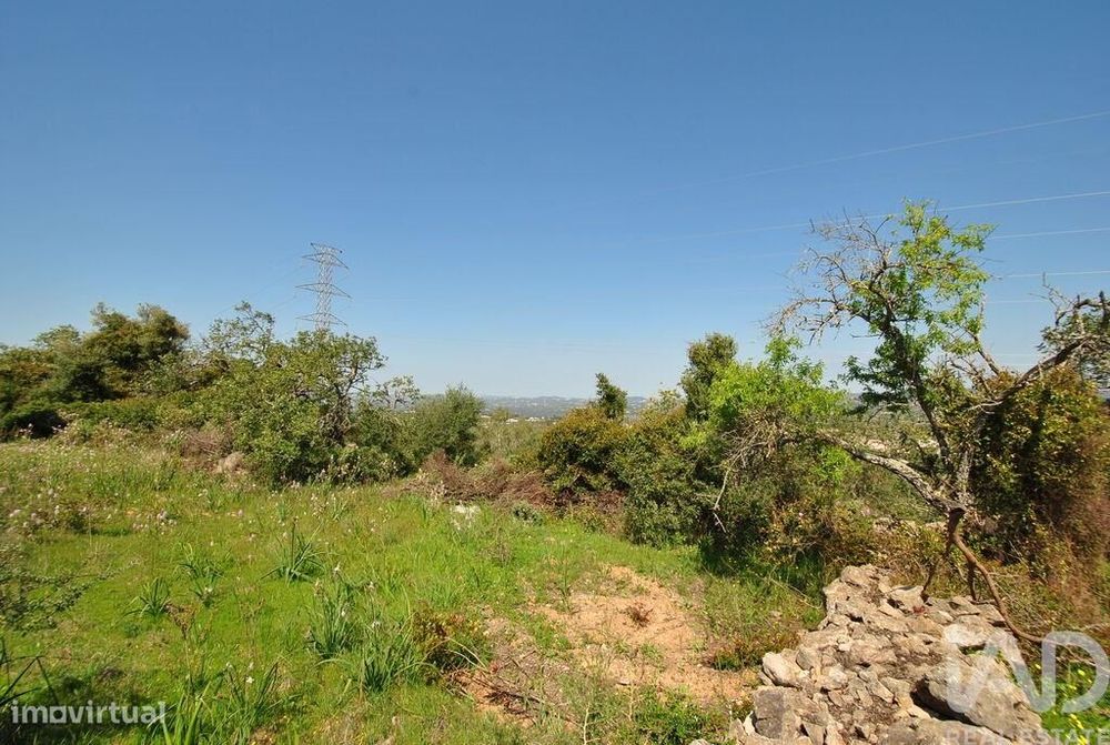 Terreno Agrícola em Paderne