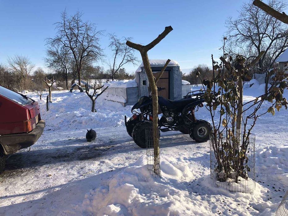 Квадроцикел 150 куб