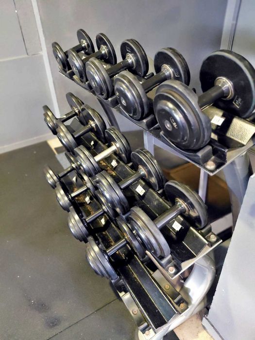 halteres de musculação