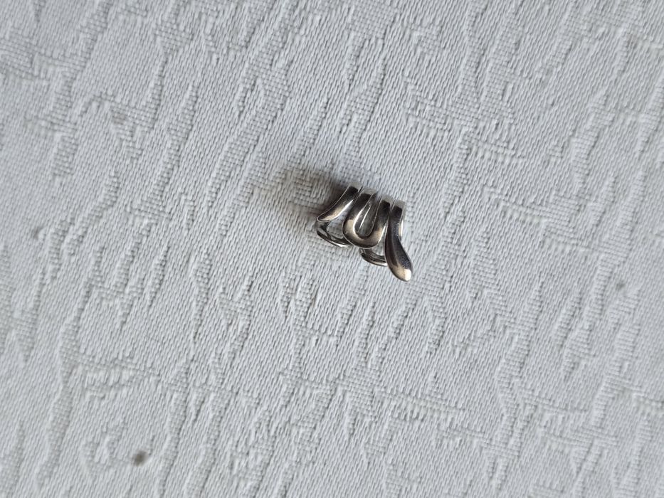 Srebrna Nausznica wąż