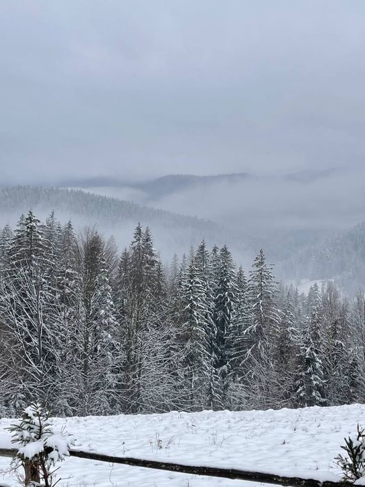 Ділянка в горах, земля біля Буковеля, земля в КарпатахПідведене світло