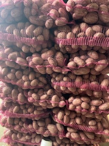 Red lady czerwone ziemniaki