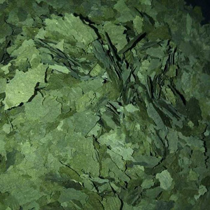 Flocos Tropicais, Alho, Spirulina 30%, Malawi, Etc.