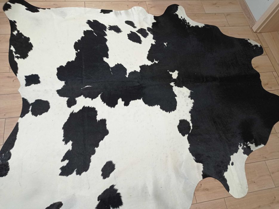 Ogromna Skóra Krowia Naturalna 230x200 cm – Łaciata, Unikat