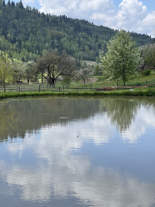 Оренда котедж з чаном в Карпатах у стилі А-фрейм