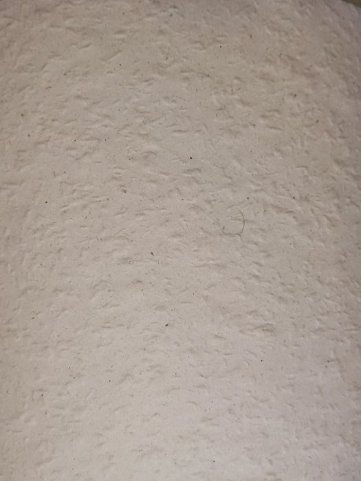 Tapeta Brillux Rauhfaser 51