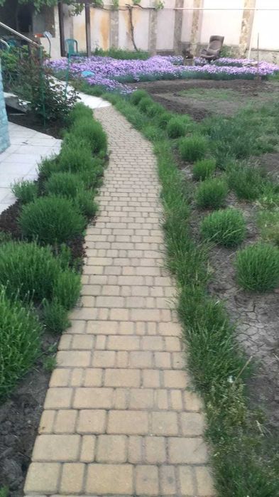 Дом по адресу ул. Спортивная (площадь 450 м²) - Atlanta.ua - фото 22