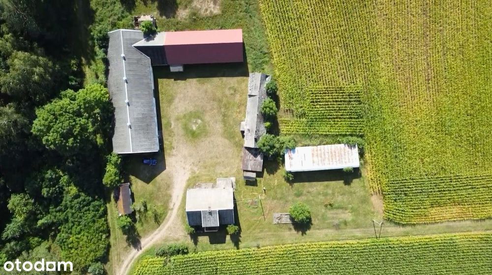 Siedlisko Na Podlasiu | 1,28 Ha| Dom + Zabudowania | Las Obok | M.huta