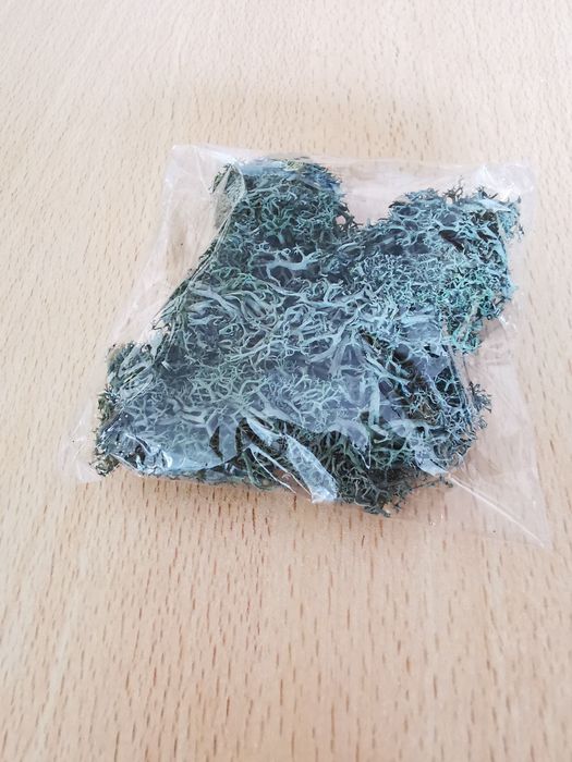 Musgo para decoração