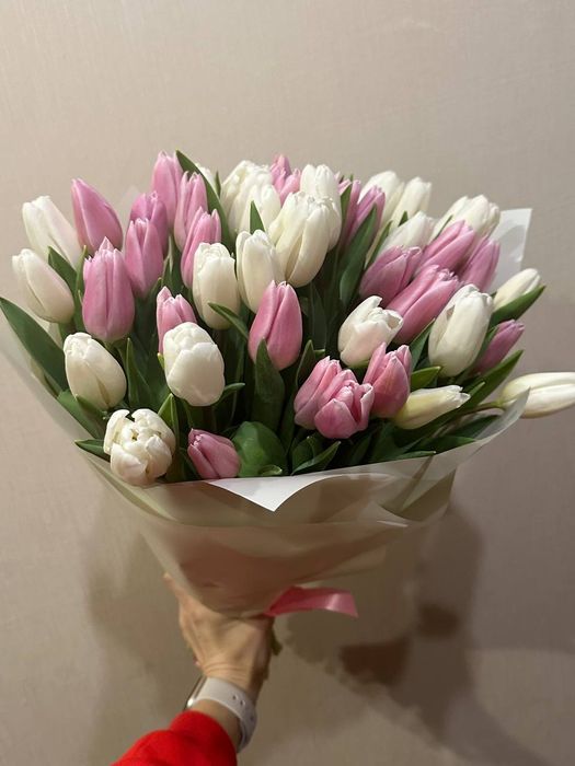 Тюльпан Голанський квіти тюльпан гурт тюльпани роздріб