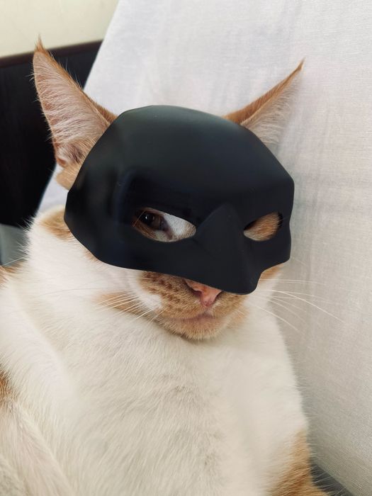 Маска бетмена для кота