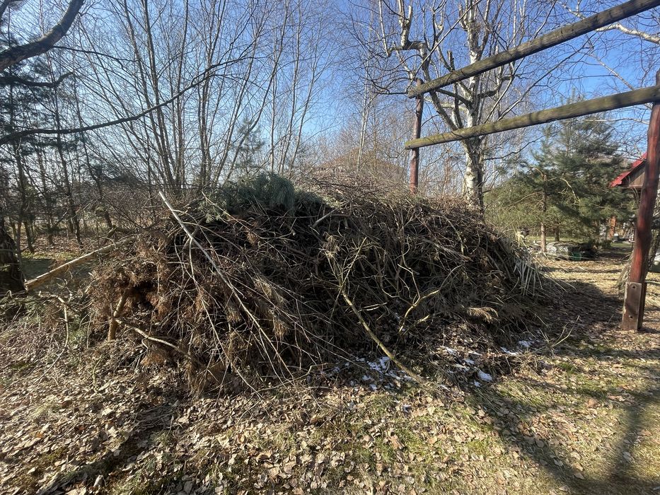 Drewno opałowe iglaste i owocowe