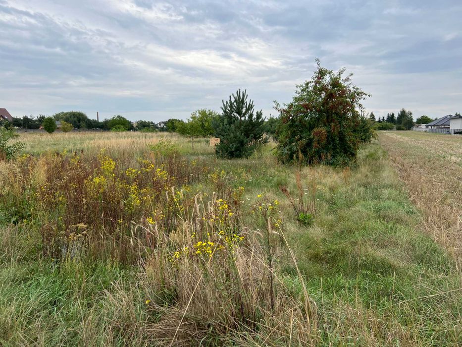 Działka budowlana - Golina