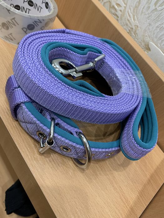 Ошейник и поводок в комплекте