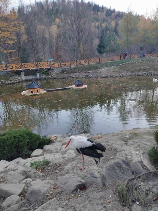 Екскурсії тури в Карпати Закарпаття з Кам'янця-Подільського