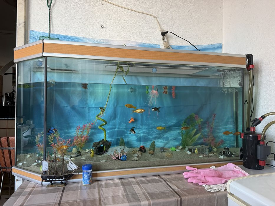 Aquario 300 L em perfeitas condiçoes