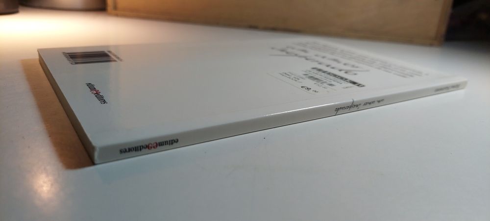 Um Amor Inesperado - Fátima Nascimento