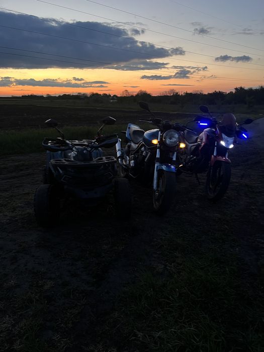 Shark forte 150ii ТОРГ