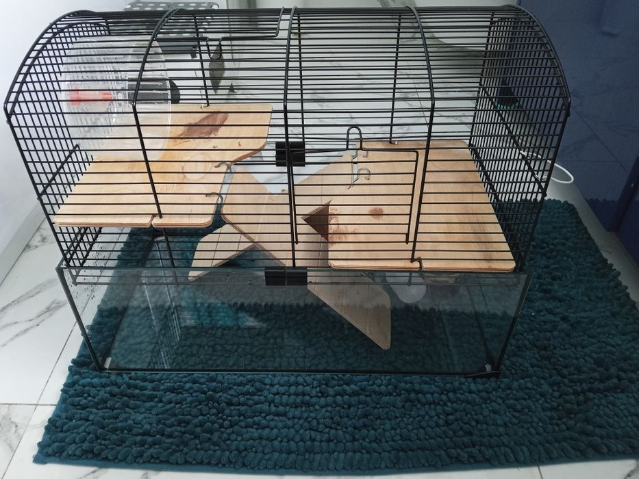 Szklana kuweta z klatką dla chomika myszki itp