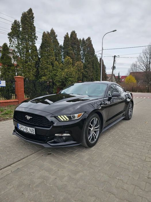 Ford Mustang Mustang 2.3 317koni 5lat w kraju wentylacje Kamery okazja RATY leasing