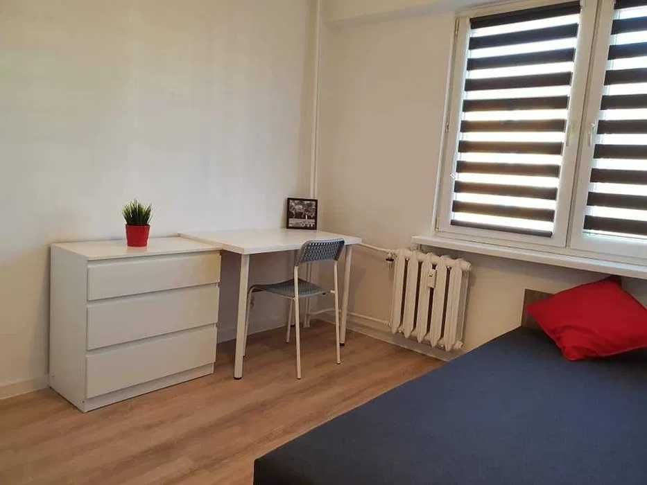 SUPER pokój jednoosobowy NOWE MIASTO po remoncie 10m2