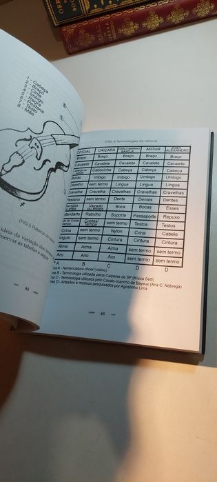 A Construção da Rabeca, Idiossincrasias de Mestre Antonio Merengue - João Nicodemos de Araújo Neto