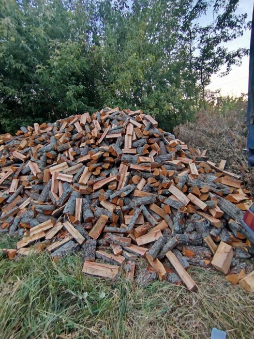 Дрова від постачальника, Дуб метровка діаметер від 5 см до 60 см .

В