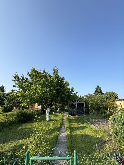 Dzialka ogrodowa rod tulipan lubin 3 ary, nowy domek - Widok 2