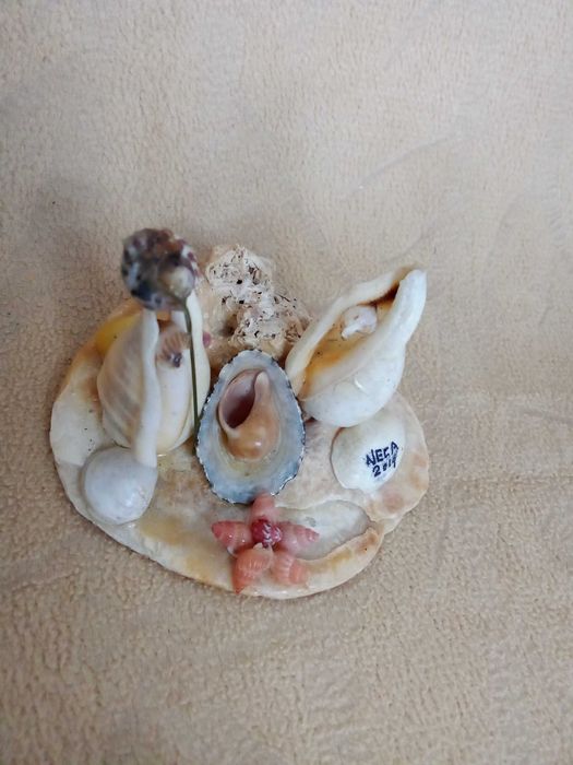 Presépio Miniatura Conchas Artesanal