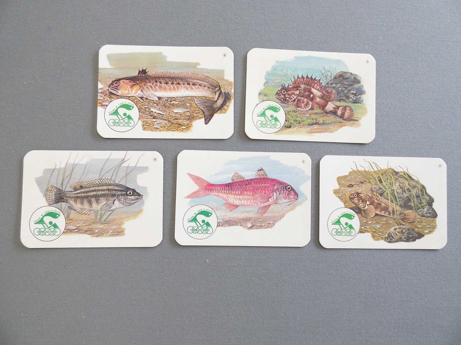 Calendários Peixes, Borboletas, Aves