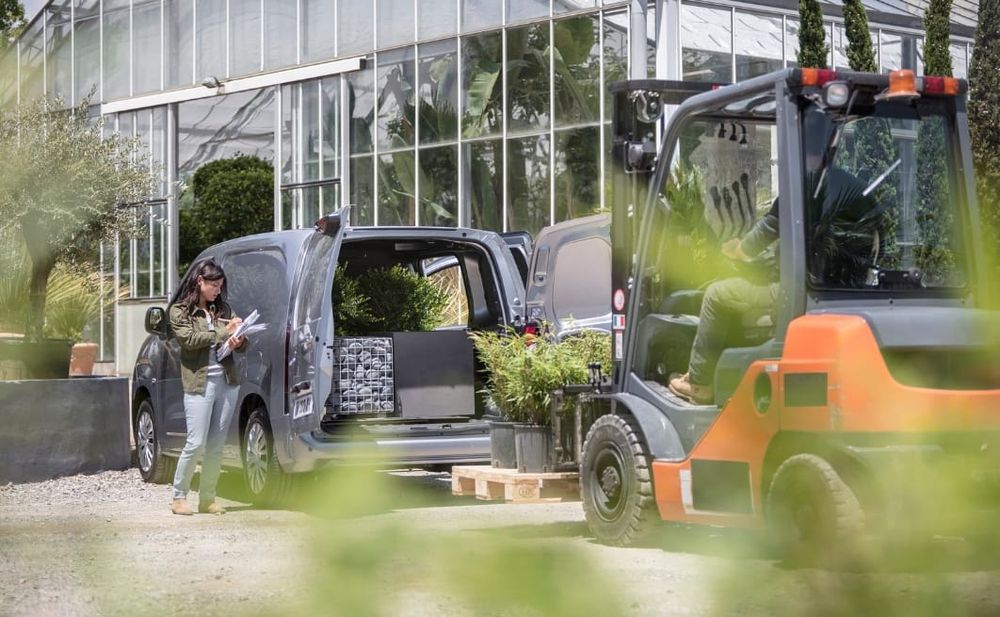 Pequenas Mudanças - Zona Centro