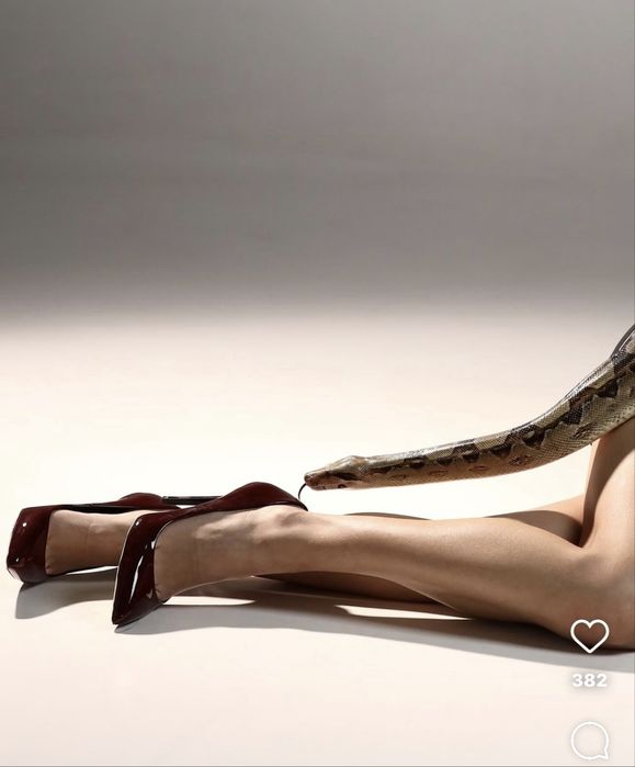 Оренда аренда удава для фото