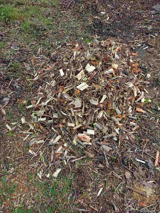 Шнековий подрібнювачі гілок