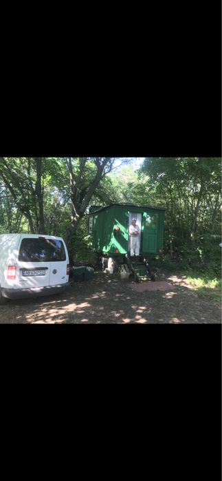 Бджоли,пчелопакеты,семьи пчел,пакети бджіл