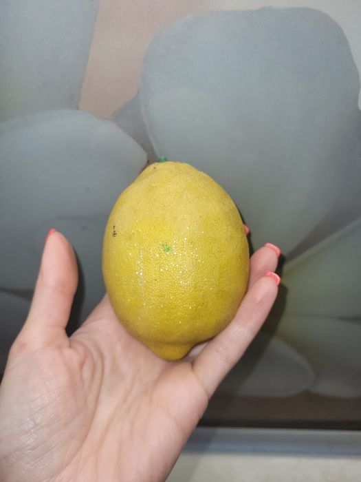 Лимон іграшковий пласмасовий