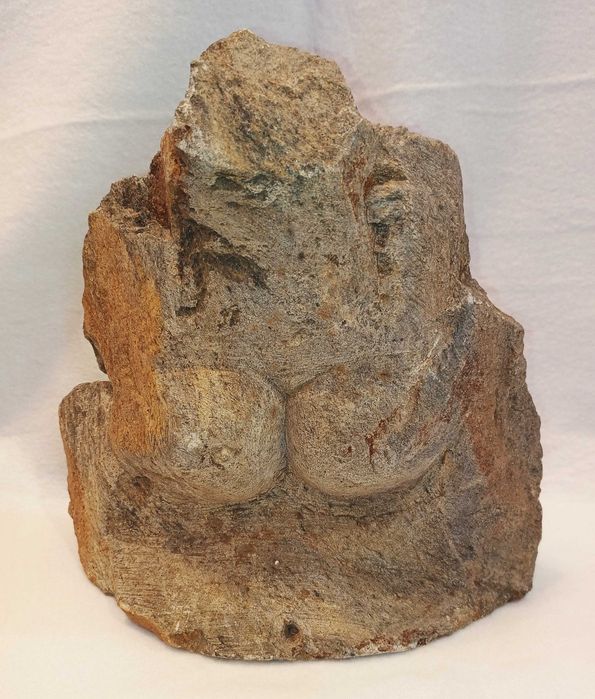 Escultura Dorso Xisto