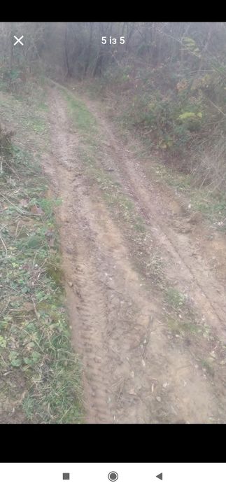 Продам будинок під лісом , може бути дача