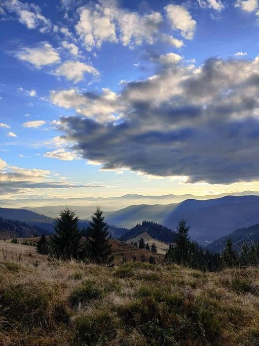 Земельна ділянка в Карпатах. Верховинський р-н.  с. Верхній