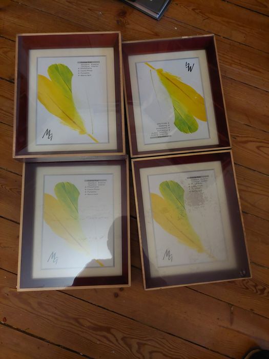 5 molduras novas seladas 20 x 25 cms