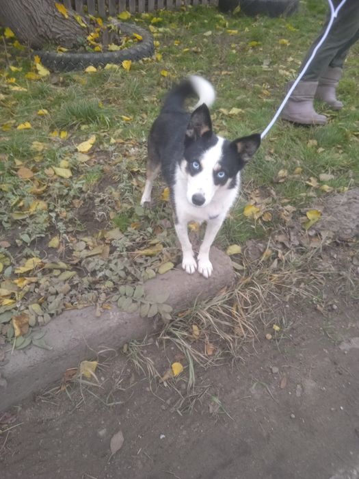 Неймовірно активна