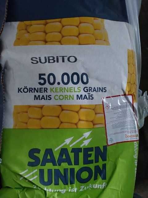 Kukurydza nasiona kukurydzy Subito