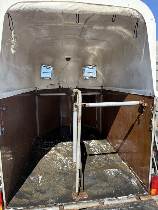 Boeckmann  siemglus do koni AUTOMARC