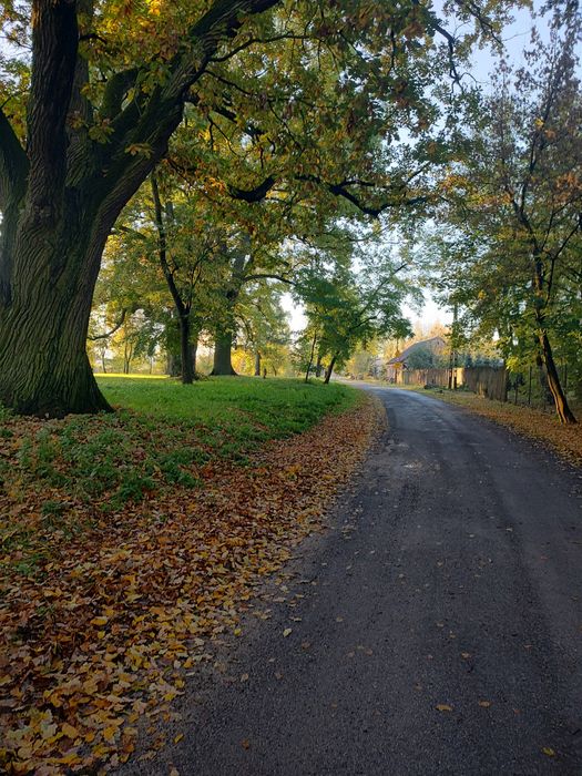 Działki budowlane