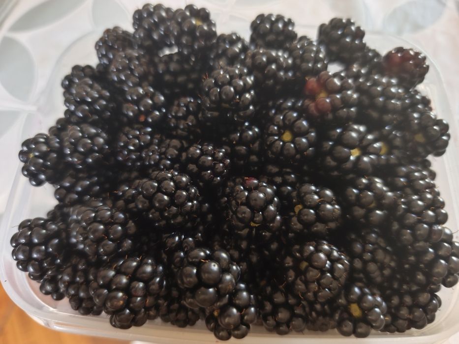 Amoras caseiras sem químicos 7€KG