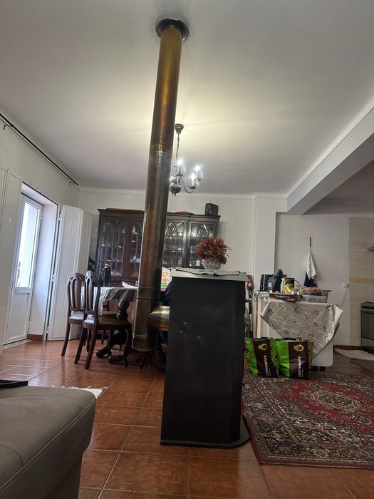 Vendo salamandra